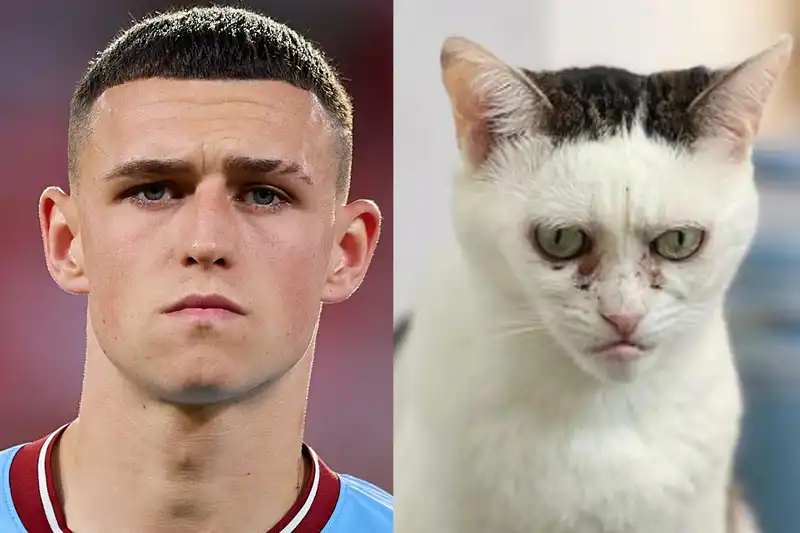 phil foden cat