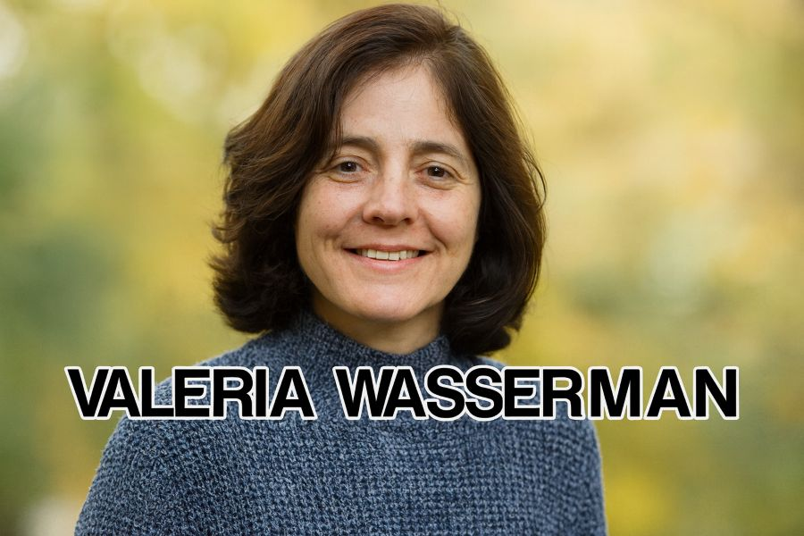 valeria wasserman